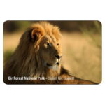 FRIDGE MAGNET - MONUMENTS & PLACES - GIR FOREST NATIONAL PARK