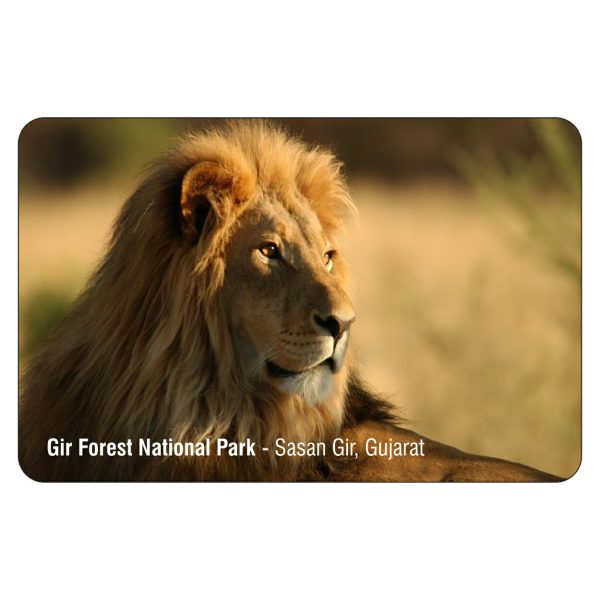 FRIDGE MAGNET - MONUMENTS & PLACES - GIR FOREST NATIONAL PARK