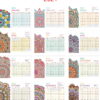Monthly Calendar 2021